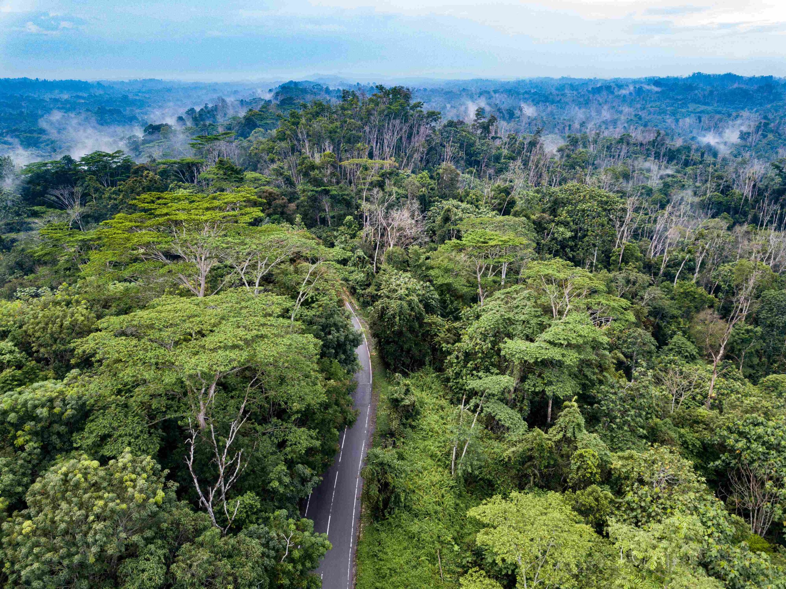 Sustainable Urban Planning